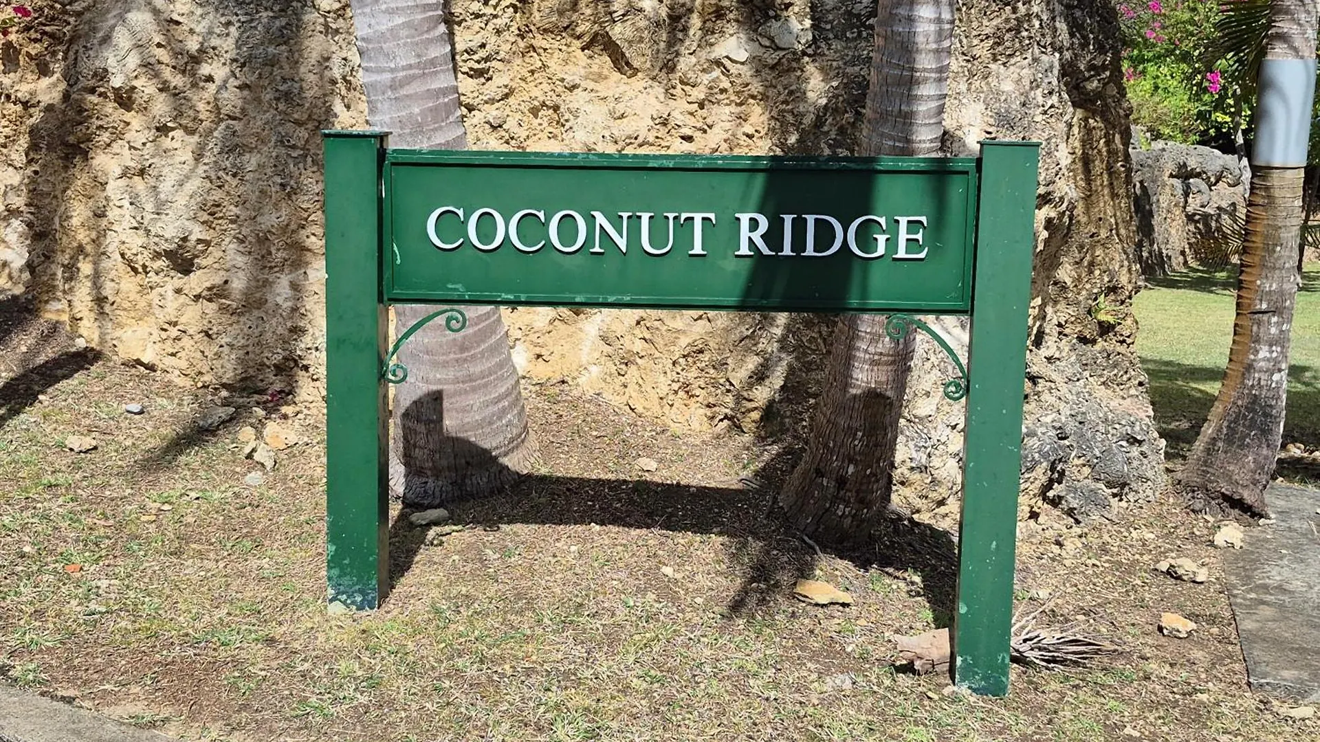 Oleanda - Sugar Hill location